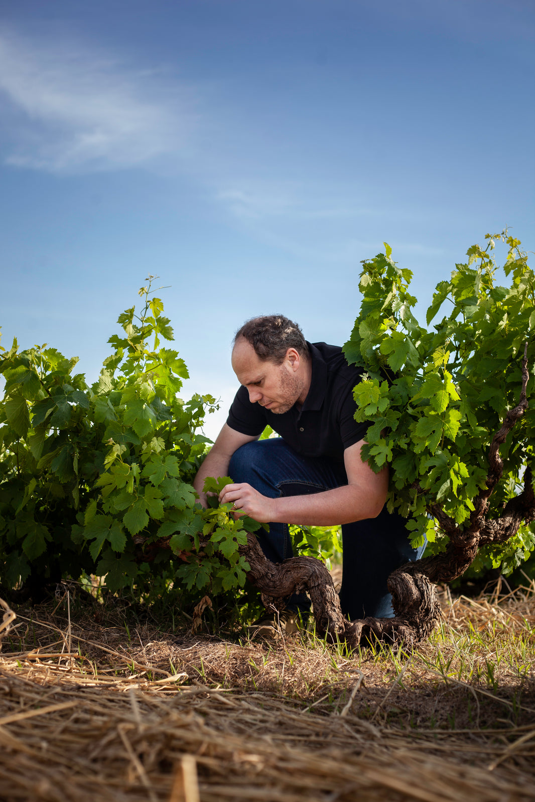 image in image with text