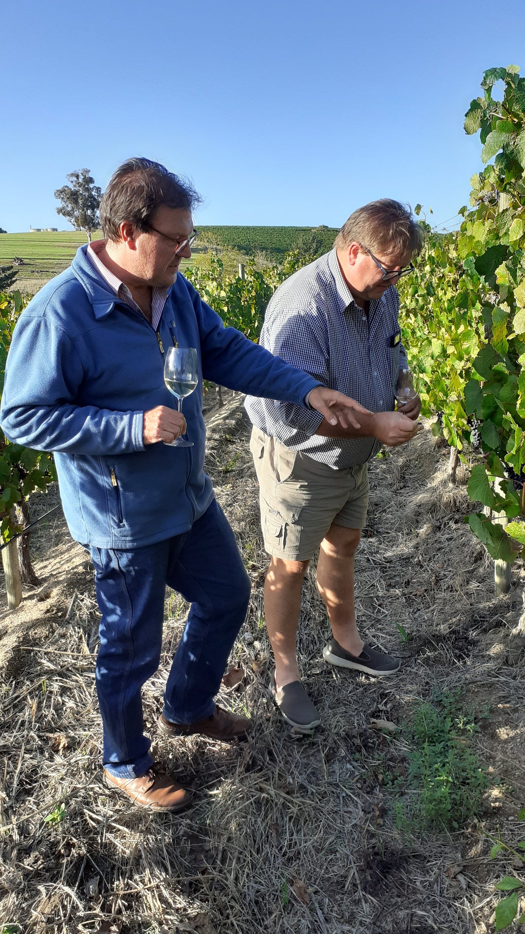 image in image with text