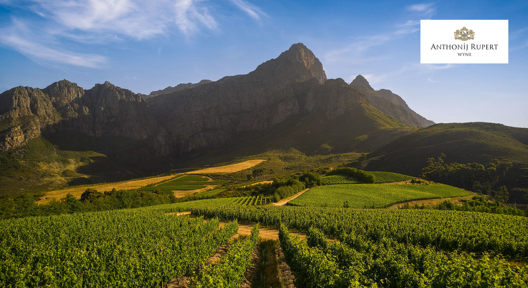 image in image with text