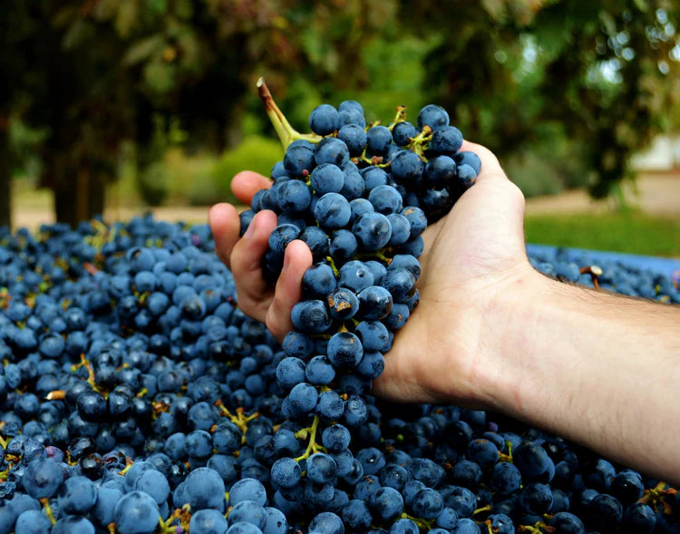 image in image with text