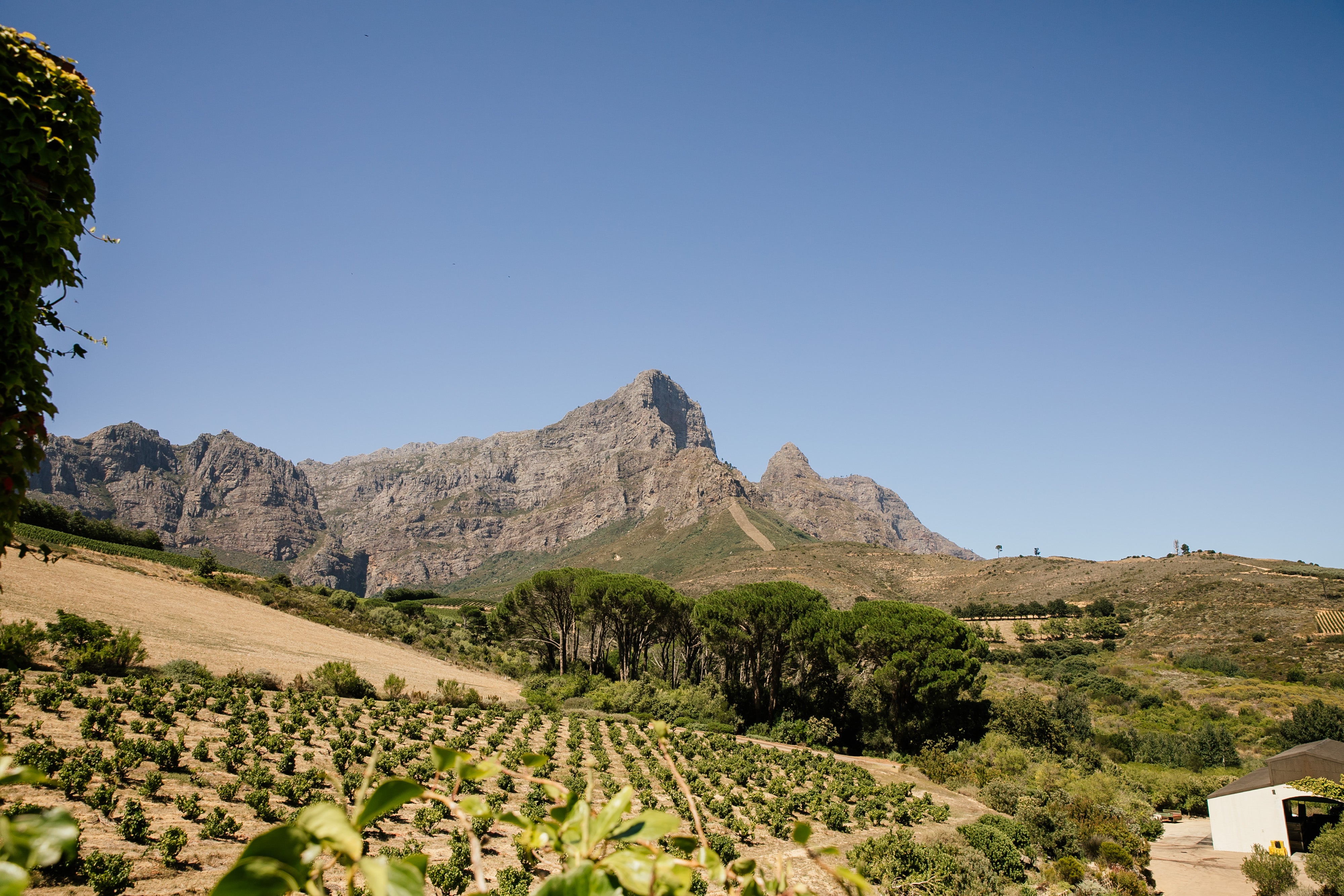 slideshow background