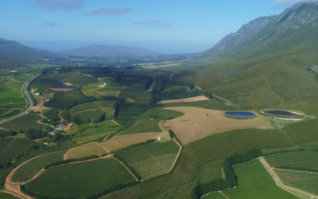 image in image with text