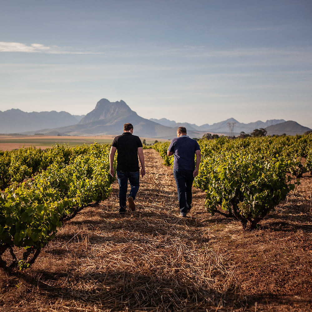 image in image with text